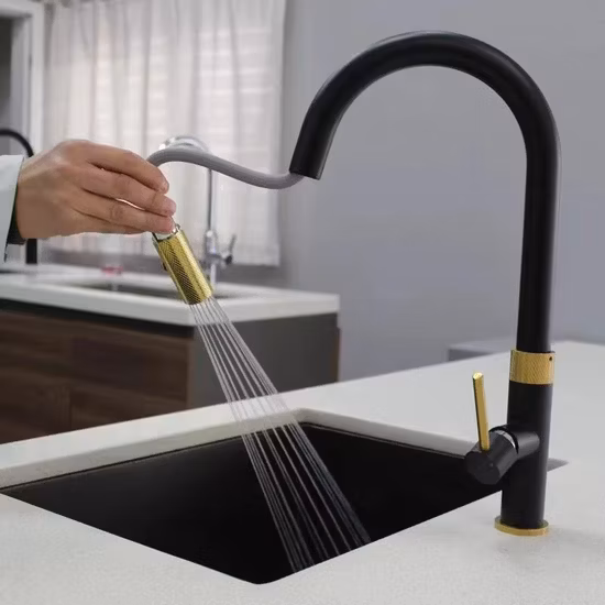 North American Design Styles Luxuriöser, mattschwarzer und goldfarbener Sprühmischer mit Einhebelgriff für die Küchenspüle